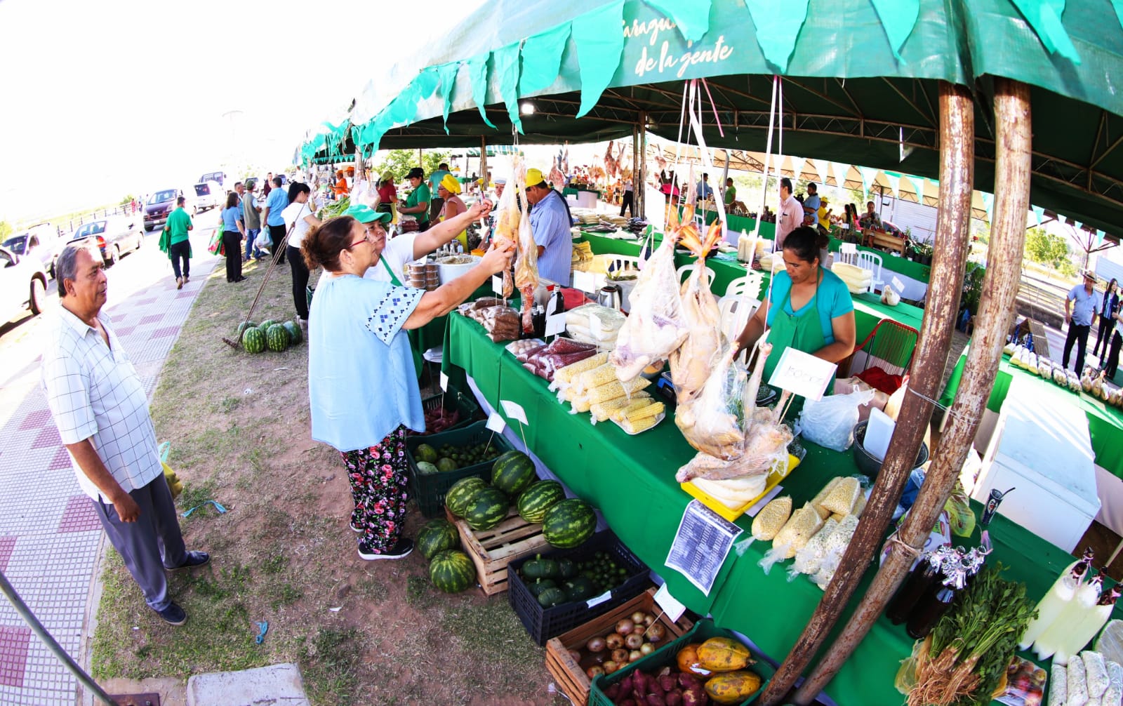 Ferias agrícolas del MAG generan oportunidades de inversión en zonas rurales
