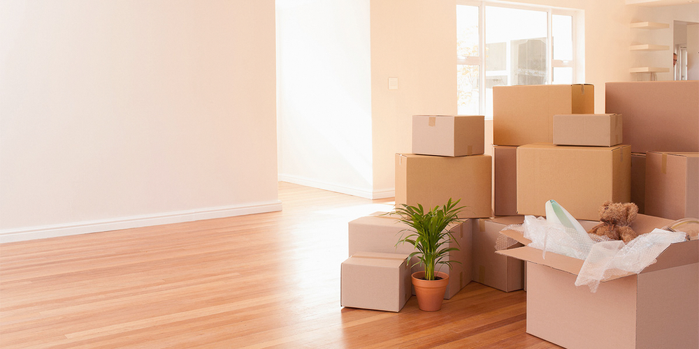 Ley de Desalojo en Paraguay: Procedimientos y Plazos Legales